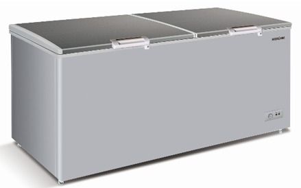 Bruhm 700L Double Door Chest Freezer (Silver, R600) (BCD-700M)