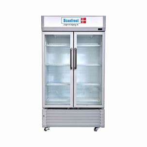 Scanfrost 600Ltrs Bottle Cooler (SFUC600)